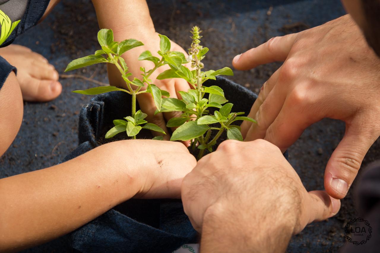 WhatsApp Image 2019-02-01 at 11.58.31